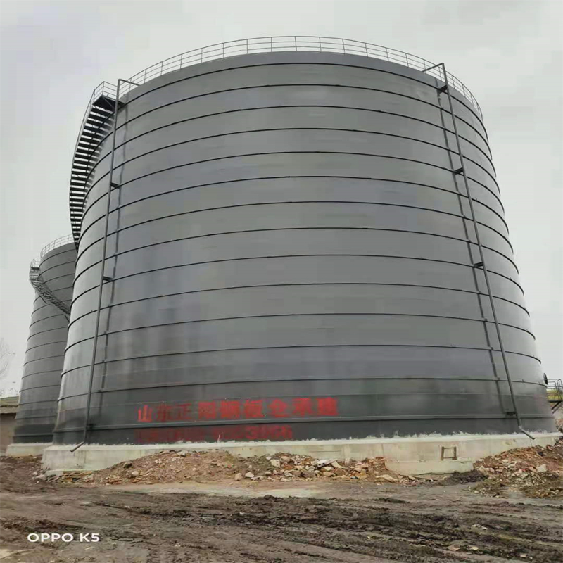 向阳3万吨大型钢板库